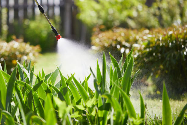 24/7 Emergency Mosquito Control experts in Greenbriar, VA