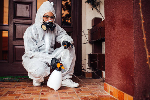 Reliable Mosquito Control contractor in Greenbriar, VA by Show Me Pest Control
